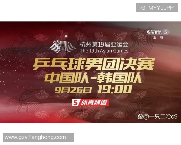 杭州乒乓球队实力分析与发展潜力探讨全面解读 杭州乒乓球队实力分析与发展潜力探讨全面解读