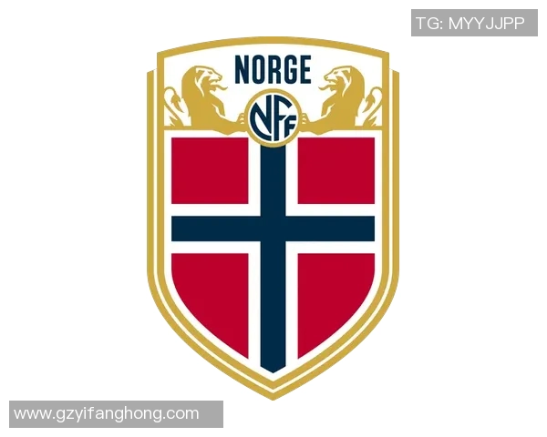 德国队与挪威足球历史交锋战绩分析及未来展望