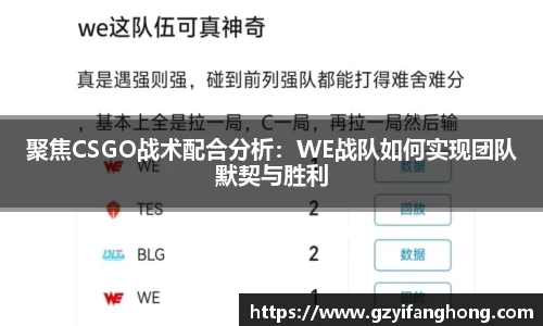 mgty奇异果体育
