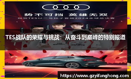 TES战队的荣耀与挑战：从奋斗到巅峰的特别报道
